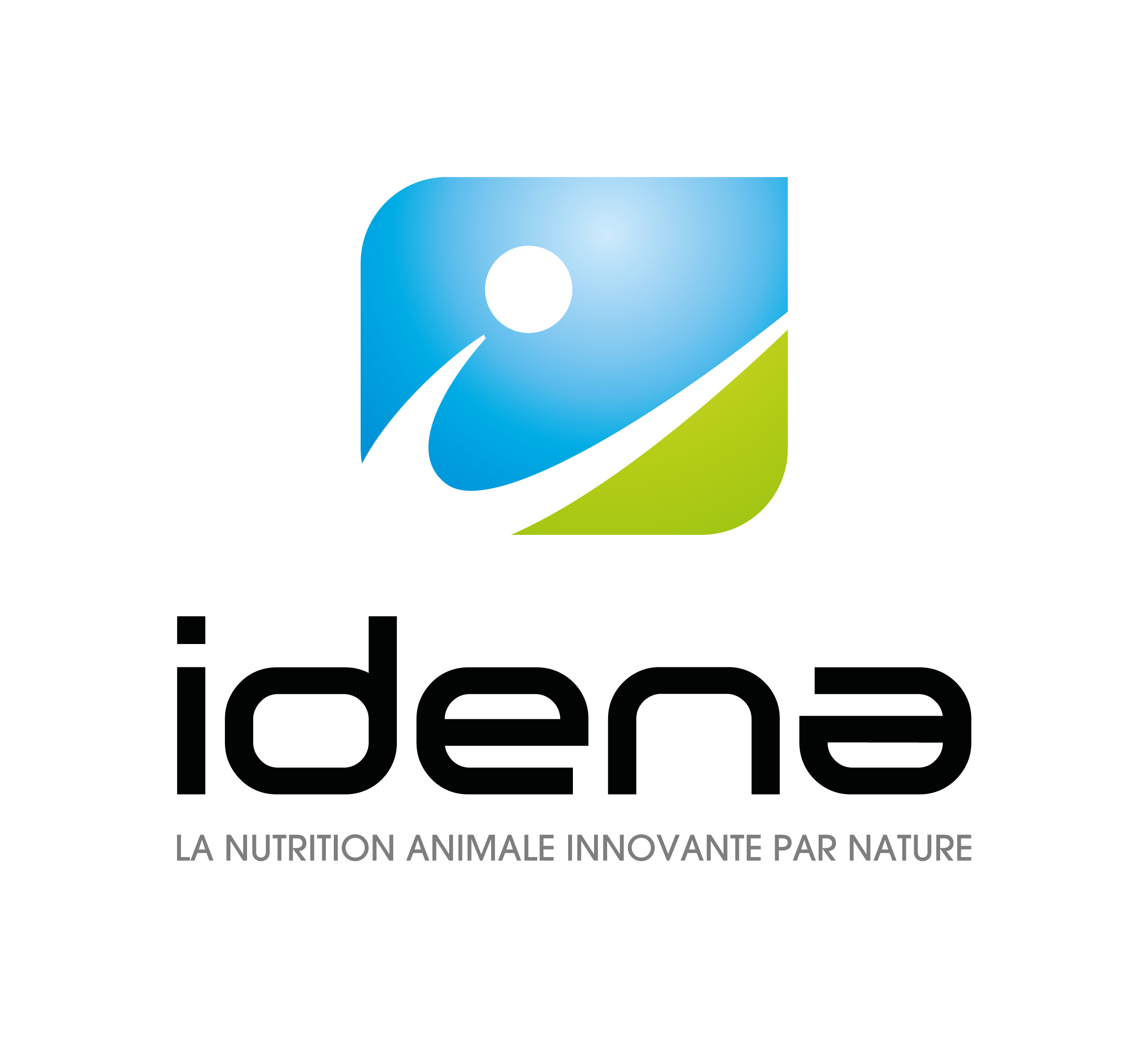 Logo_IDENA.png