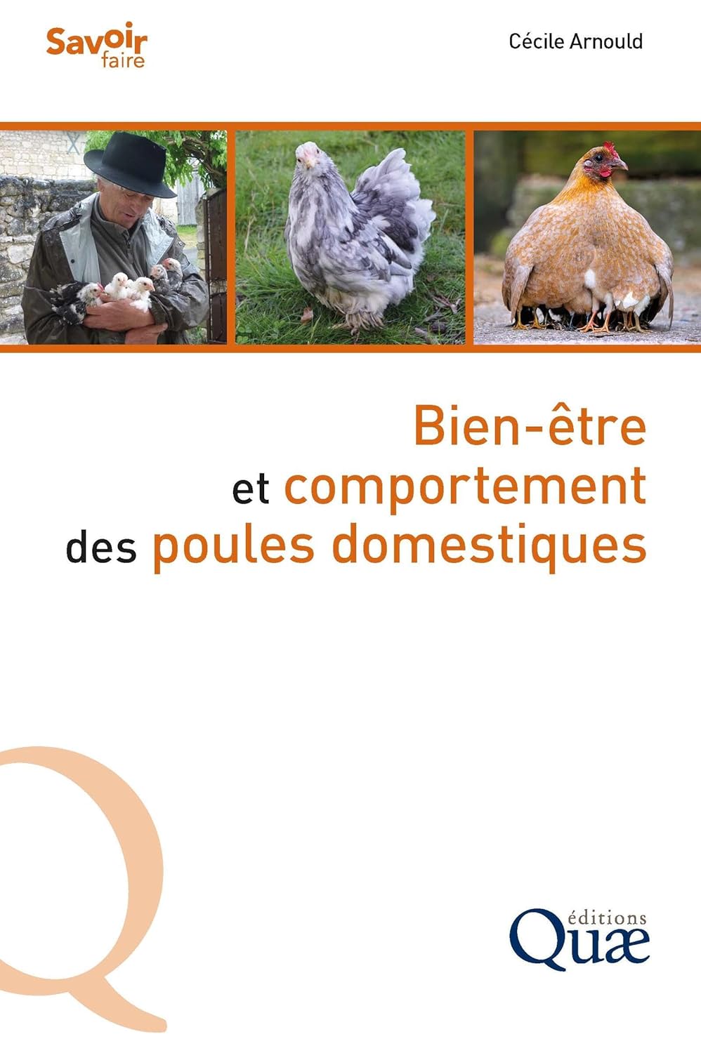 Bien etre et comportement des poules domestiques