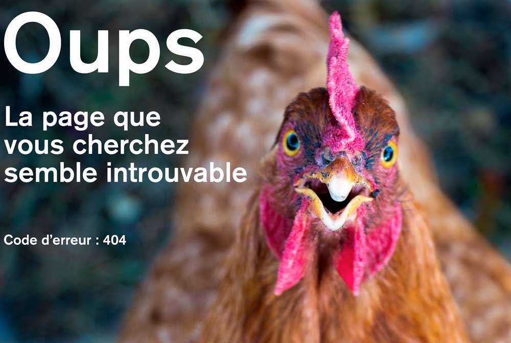 erreur 404
