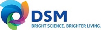 logo DSM pour site