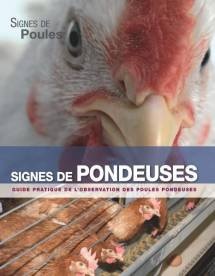 Pondeuses