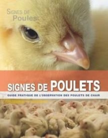 poulets2